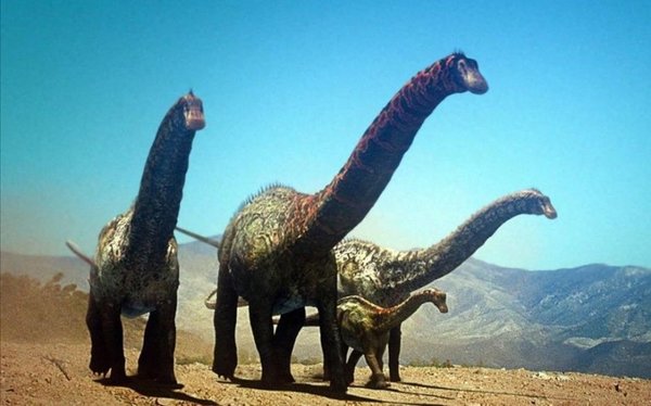 Identifican una nueva especie de dinosaurios saurópodos - Ciencia - ABC Color