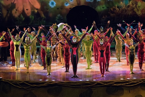 Cirque du Soleil presentará “Ovo" con siete funciones en Paraguay - ADN Paraguayo