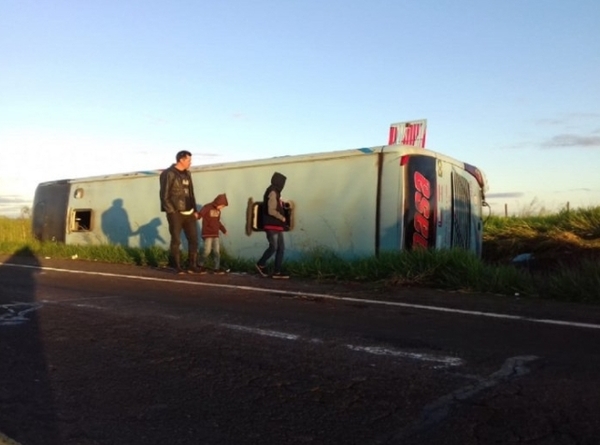 Ómnibus vuelca tras chocar contra un caballo en Concepción