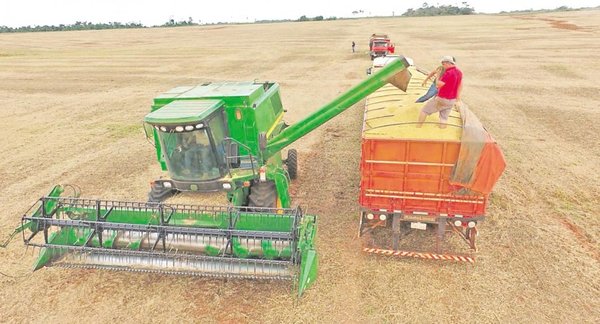 Disrupción externa e incertidumbre en la matriz productiva paraguaya - Edicion Impresa - ABC Color