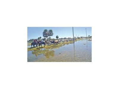 Inundación en Ñeembucú: Mortandad del ganado se hace sentir con fuerza