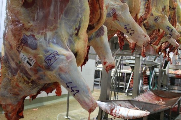 Brasil y Argentina apuntan a vender su carne en China y esto puede favorecer a Paraguay en Chile y Rusia