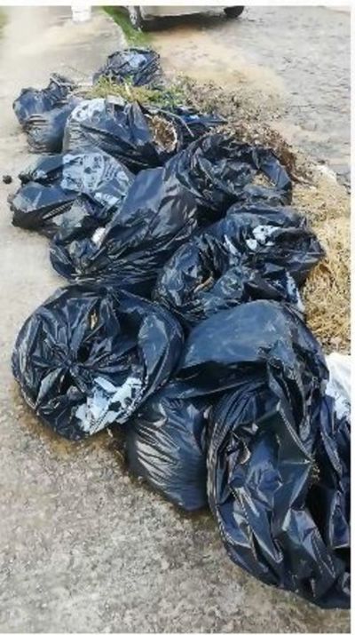 Basuras abandonadas por el municipio - Cronicas Ciudadanas - ABC Color
