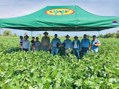 La Cooperativa Friesland se mantiene estable en el mercado
