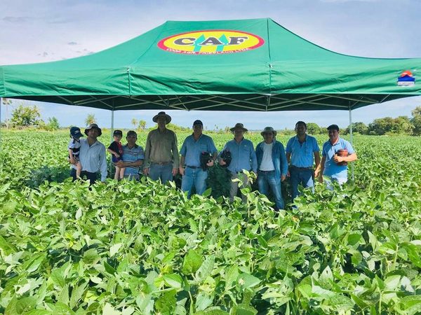 La Cooperativa Friesland se mantiene estable en el mercado