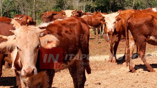 LA RURAL SIGUE CON ACTIVIDADES DE CAPACITACIÓN.