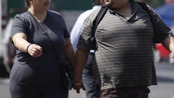 Bacterias intestinales para combatir la obesidad y el estrés - Ciencia - ABC Color