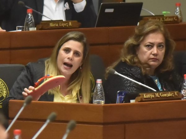 Diputada Kattya González presentó proyecto contra la jubilación Vip
