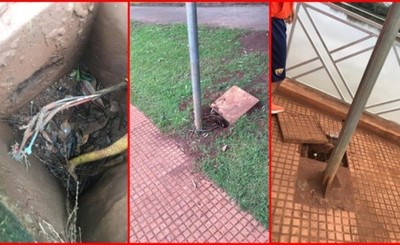 Sabotean conexiones eléctricas del Lago de la República