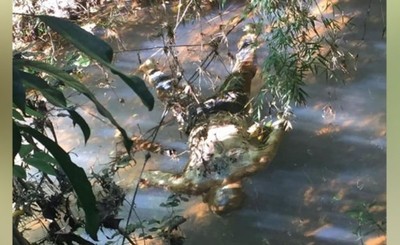 Encuentran cadáver en arroyo