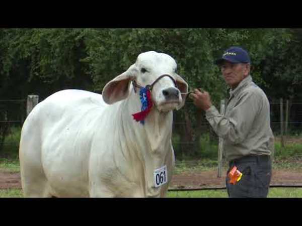 Programa ABC Rural Tv 883 - Edicion Impresa - ABC Color