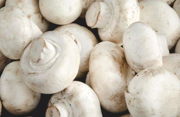 Los champiñones cuidan el cerebro y evitan la demencia senil - C9N
