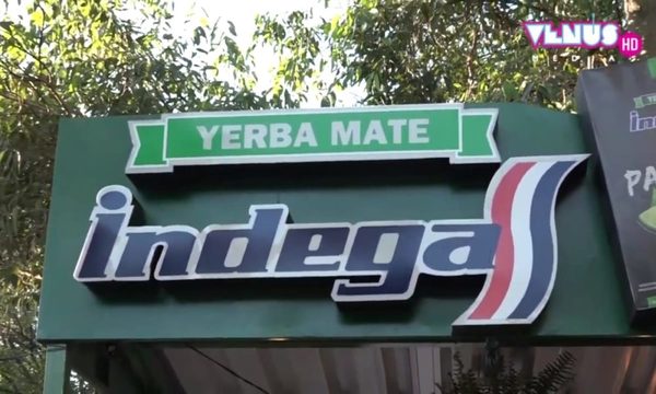 Pantano Limón: la nueva apuesta de Yerba Mate Indega