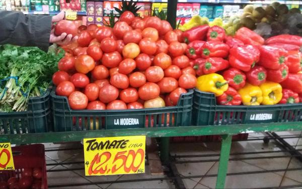Tomates de oro: son comercializados hasta 15.000 guaraníes por cada kilo
