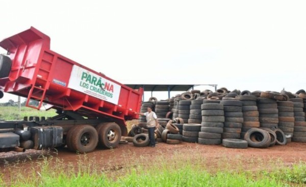 Pará-na los Criaderos: Primer mes con 400.000 criaderos eliminados