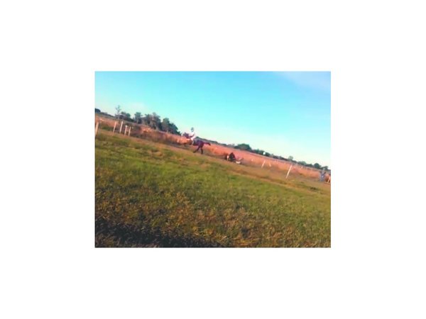 Jinete se cayó de su caballo y no murió