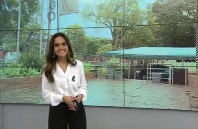 Primer Reporte - C9N