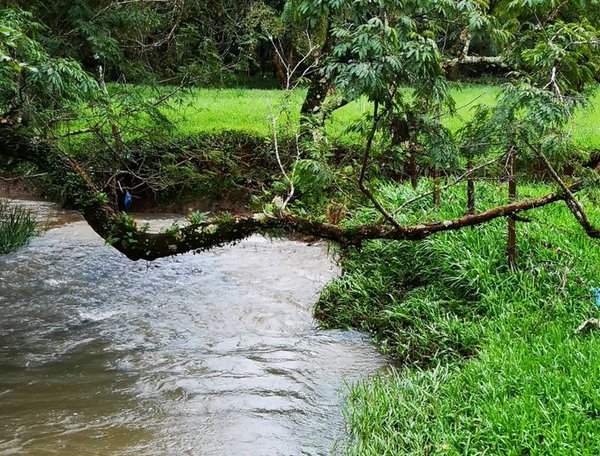 Coordinan acciones para la protección de principales arroyos de Encarnación - ADN Paraguayo