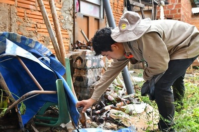 Campaña contra el dengue ya eliminó más de 400.000 criaderos en Alto Paraná - ADN Paraguayo
