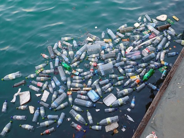 Músicos y la ONU se unen para denunciar el problema del plástico en los mares
