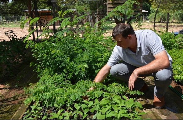 Gobierno Nacional apunta a la reforestación con mano de obra penitenciaria - Churero.com