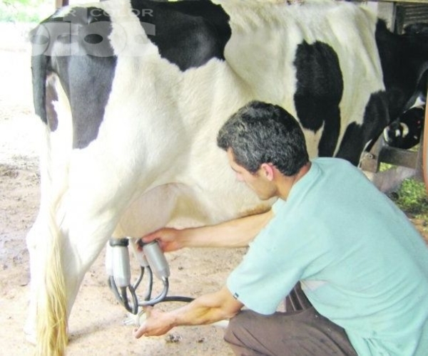 Producción y consumo de lácteos - Ing. Agr. Fernando Díaz Shenker (*) - Edicion Impresa - ABC Color