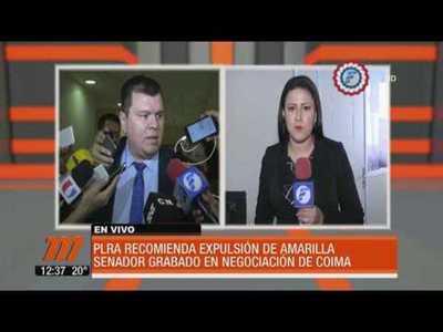 PLRA recomienda expulsión de Amarilla