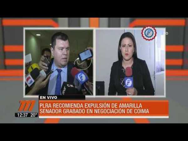 PLRA recomienda expulsión de Amarilla