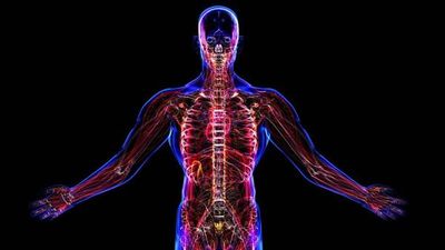 Investigan los cambios en el microbioma humano que provocan enfermedades - Ciencia - ABC Color