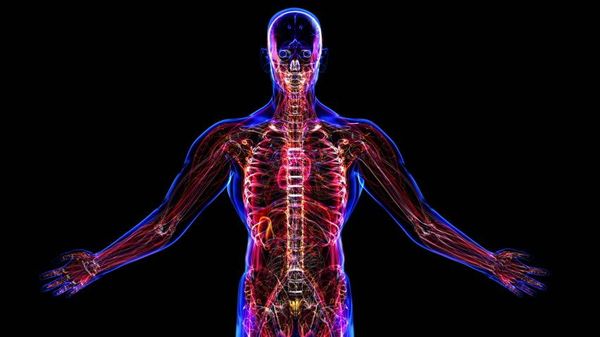 Investigan los cambios en el microbioma humano que provocan enfermedades - Ciencia - ABC Color