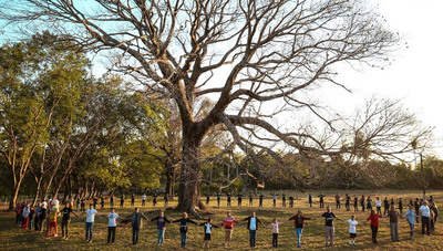 Colosos de la Tierra: Todos podemos salvar un árbol, buscá el tuyo