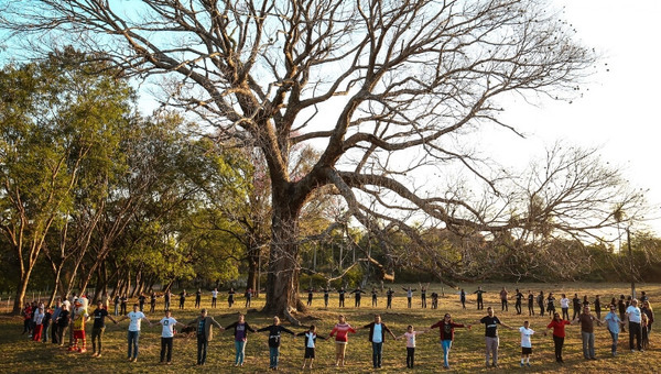 Colosos de la Tierra: Todos podemos salvar un árbol, buscá el tuyo