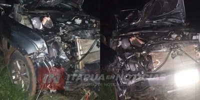 CNEL. BOGADO: VACA SUELTA CAUSÓ ACCIDENTE SOBRE LA RUTA 1.
