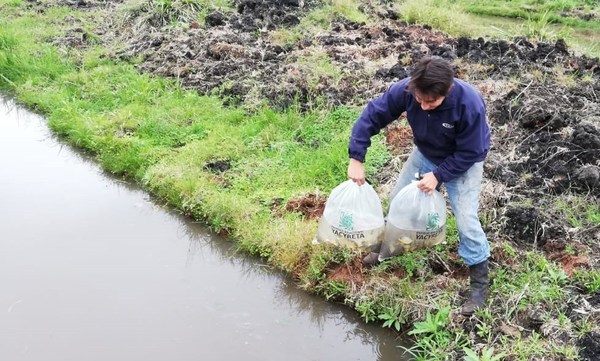 Yacyretá apoya a un joven emprendedor de San Ignacio - Digital Misiones