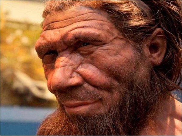 Caída de la fertilidad pudo provocar la extinción de los neandertales