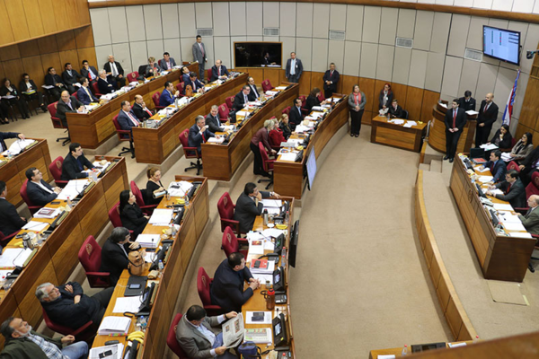 Senado analizará transparencia en las sociedades constituidas por acciones - ADN Paraguayo