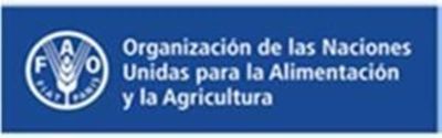 Comienza el Decenio de la Agricultura Familiar - Edicion Impresa - ABC Color