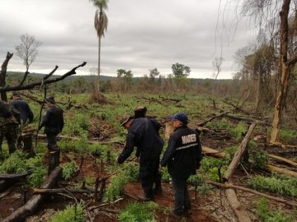 Por segunda vez intervienen en el Parque Nacional de Caazapá - ADN Paraguayo