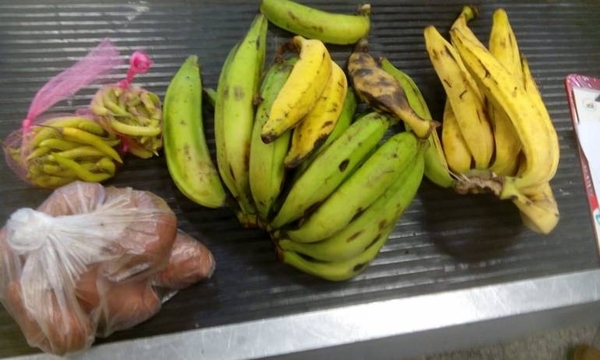 HOY / Decomisan dos docenas de bananas, una bolsa de papa y paquetes de ky'i y le destrozan