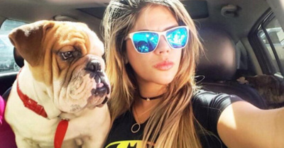 Ñoño, el bulldog que rescata a sus cuates