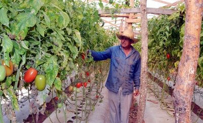 MAG anuncia licitaciones por G. 42.000 millones - Edicion Impresa - ABC Color
