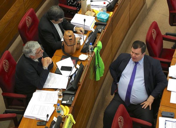 “No hay ninguna relación entre el dinero entregado y el senador”