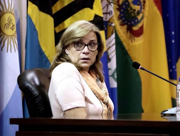 La CIDH se equivocó con el caso de Cristina Arrom, aseguran » Ñanduti