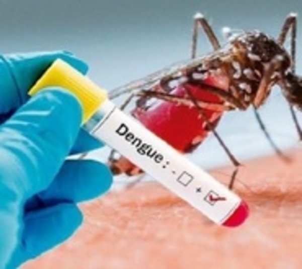 Menor de 11 años fallece a causa del dengue - Paraguay.com
