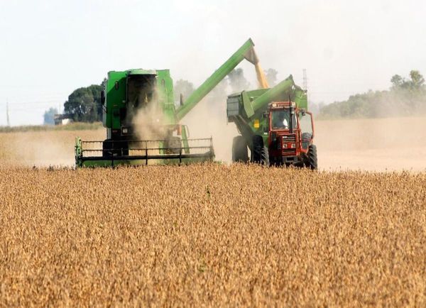 Crisis de la soja amenaza a Paraguay con perder el 1,5 % del PIB