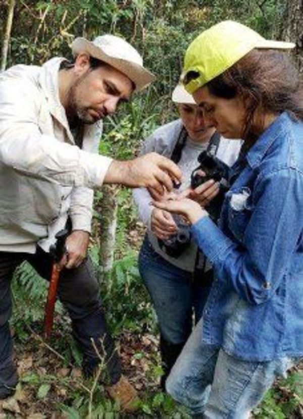 Banco de conservación genética forestal - Edicion Impresa - ABC Color