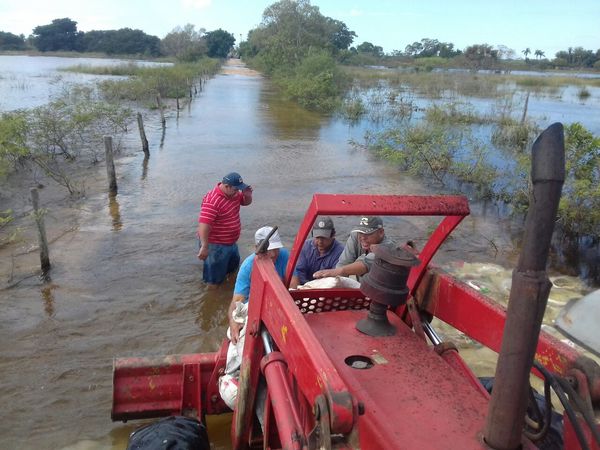 Ganaderos paraguayos en alerta ante impacto de inundaciones en hato nacional