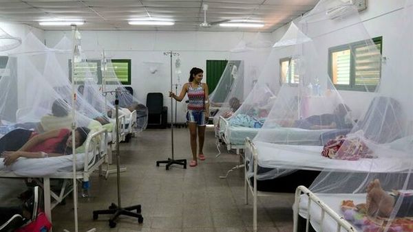 Aumentan casos de dengue en nuestro país » Ñanduti