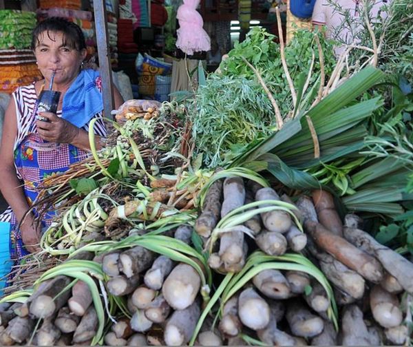 Tereré y poha ñana candidatos a Patrimonio de la Humanidad