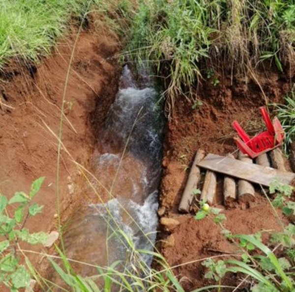 Constatan desvío de un cauce hídrico en una propiedad en Caazapá - ADN Paraguayo